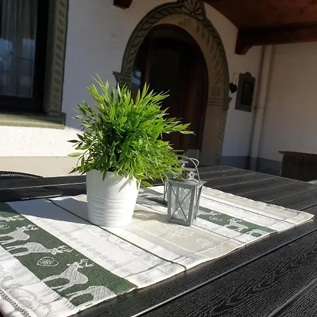 Fewos Timm * Inzell